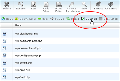 cPanel File Manager