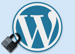 WordPress Brute-Force Protection Plugins