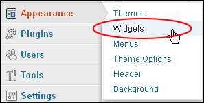 How To Use WordPress Custom Menus