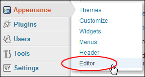 How to edit WP themes