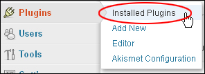 Installing WordPress Plugins