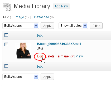 How To Edit Images In The WordPress Media Library