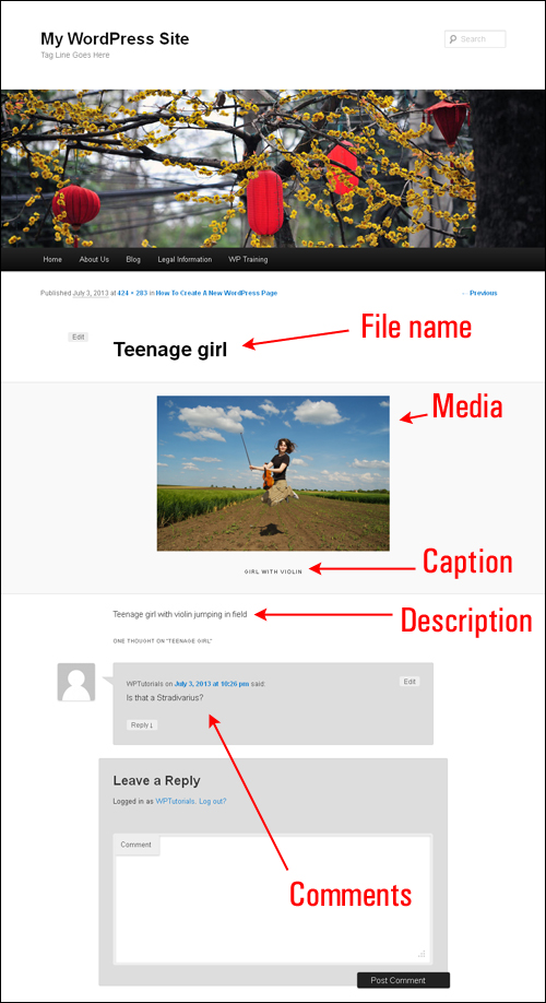 How To Edit Images In The WordPress Media Library