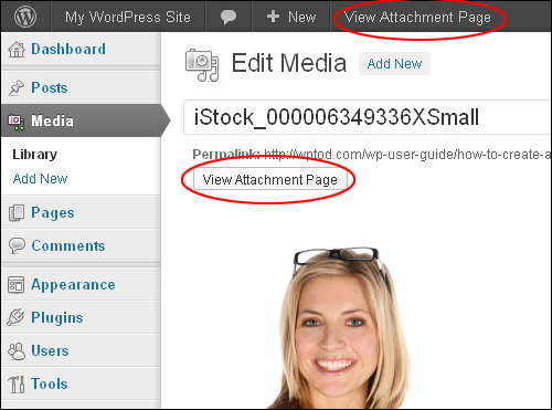 How To Edit Images In The WordPress Media Library