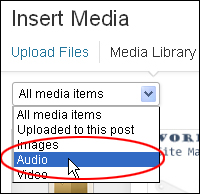 How To Insert Audio Files Into Your WordPress Posts And Pages