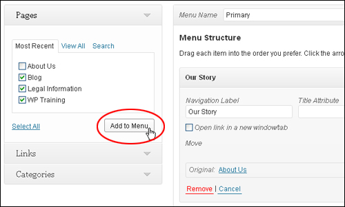 How To Use WordPress Custom Menus