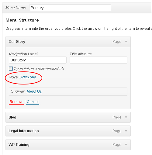 How To Use WordPress Custom Menus