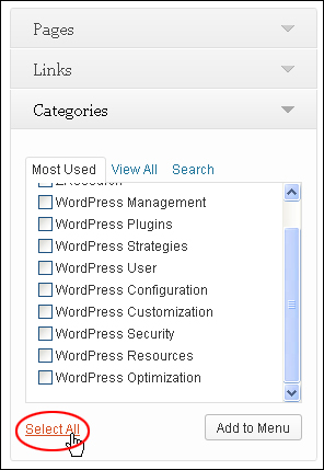 How To Use WordPress Custom Menus