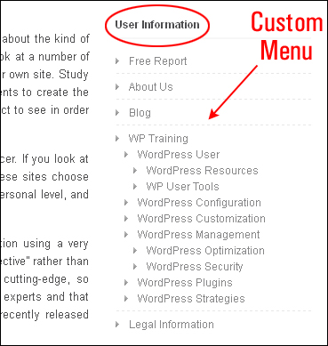 How To Use WordPress Custom Menus