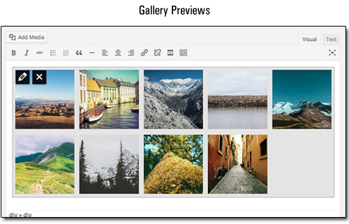 WordPress 3.9 - Gallery Previews